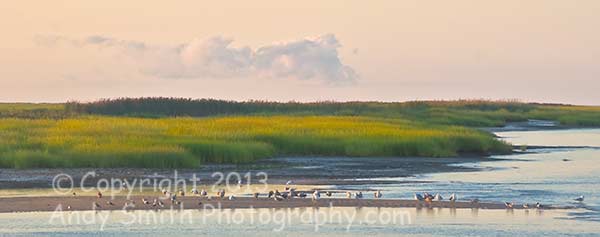 Dawn Over the Marsh at Seabreeze